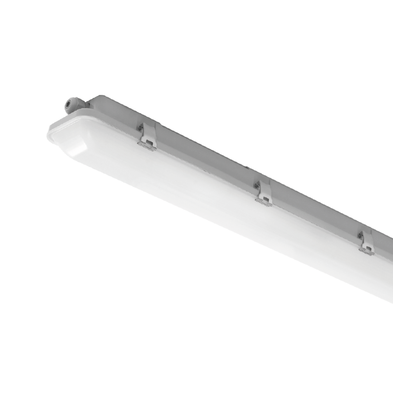 NTP116 IP65 weatherproof LED batten by NBlite — product view 1