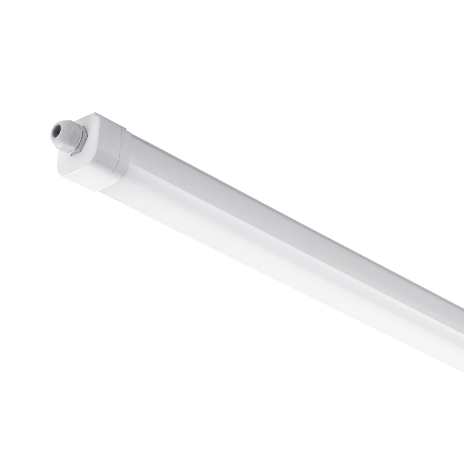 NTP119 IP65 weatherproof LED batten by NBlite — product view 1